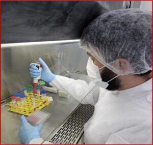 Plataforma criada no Huap-UFF usa bioengenharia para personalizar tratamentos oncológicos